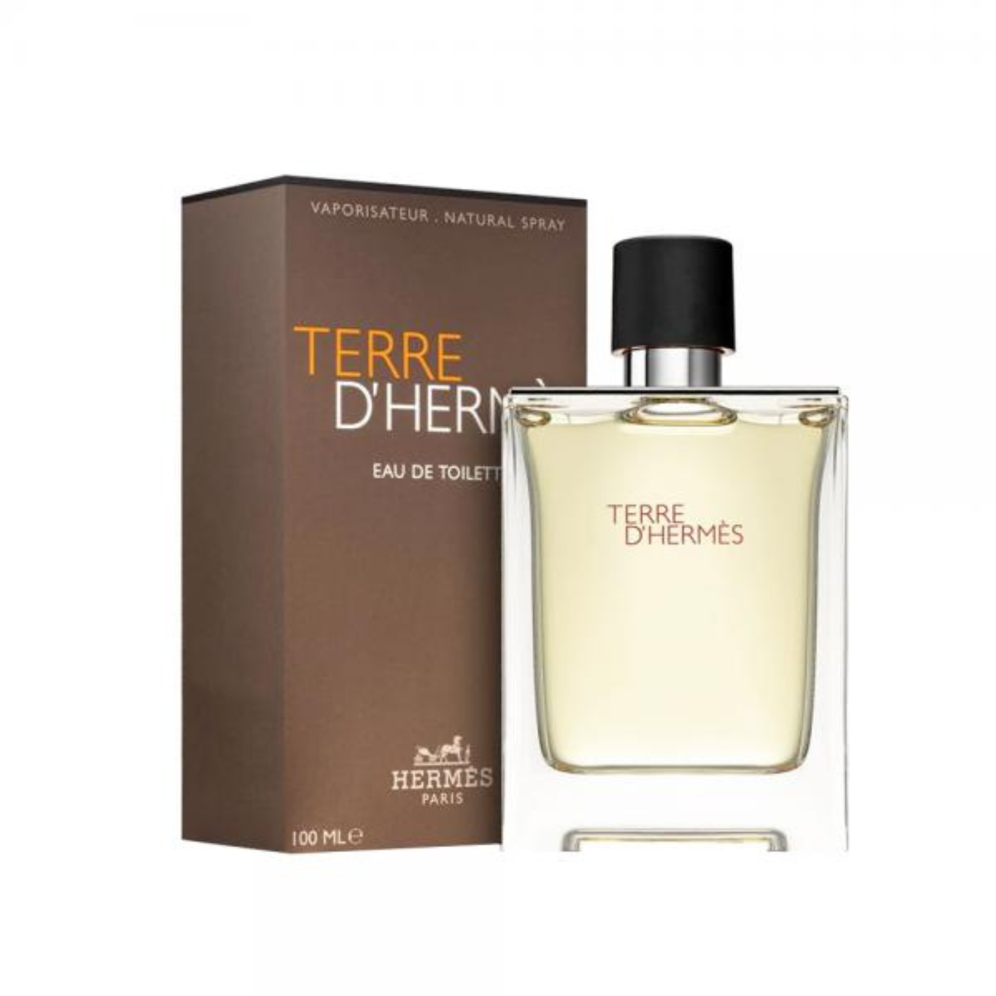 Hermes Terre D'Hermes UOMO Eau De Toilette Spray 100ml
