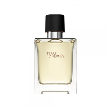 Hermes Terre D'Hermes UOMO Eau De Toilette Spray 100ml